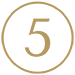 Gold Numer 5 Icon