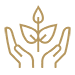 Gold Growth Icon