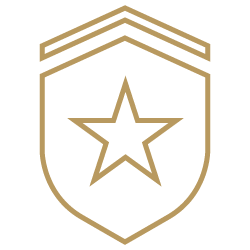 VA Icon