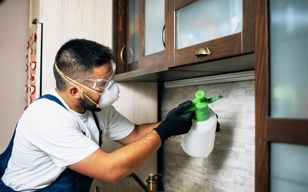 Man homeowner spraying for pests in attic